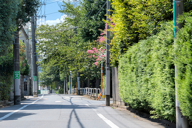 現地周辺の街並み