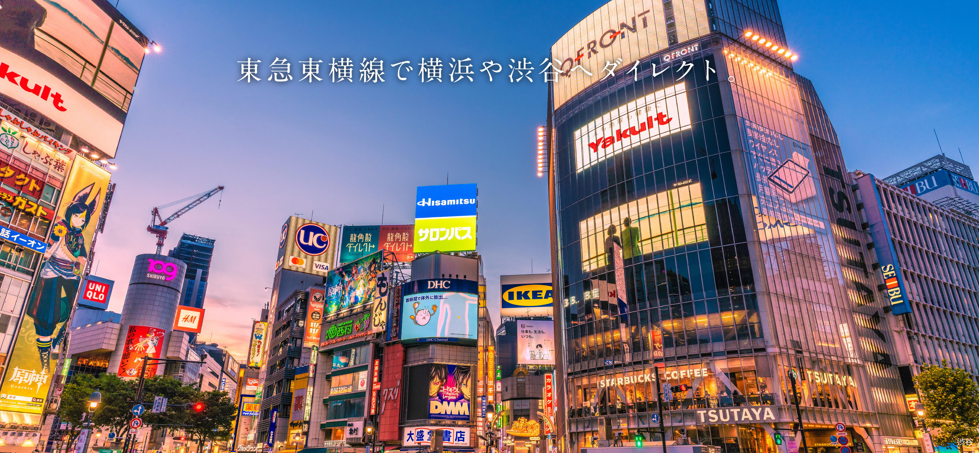 渋谷